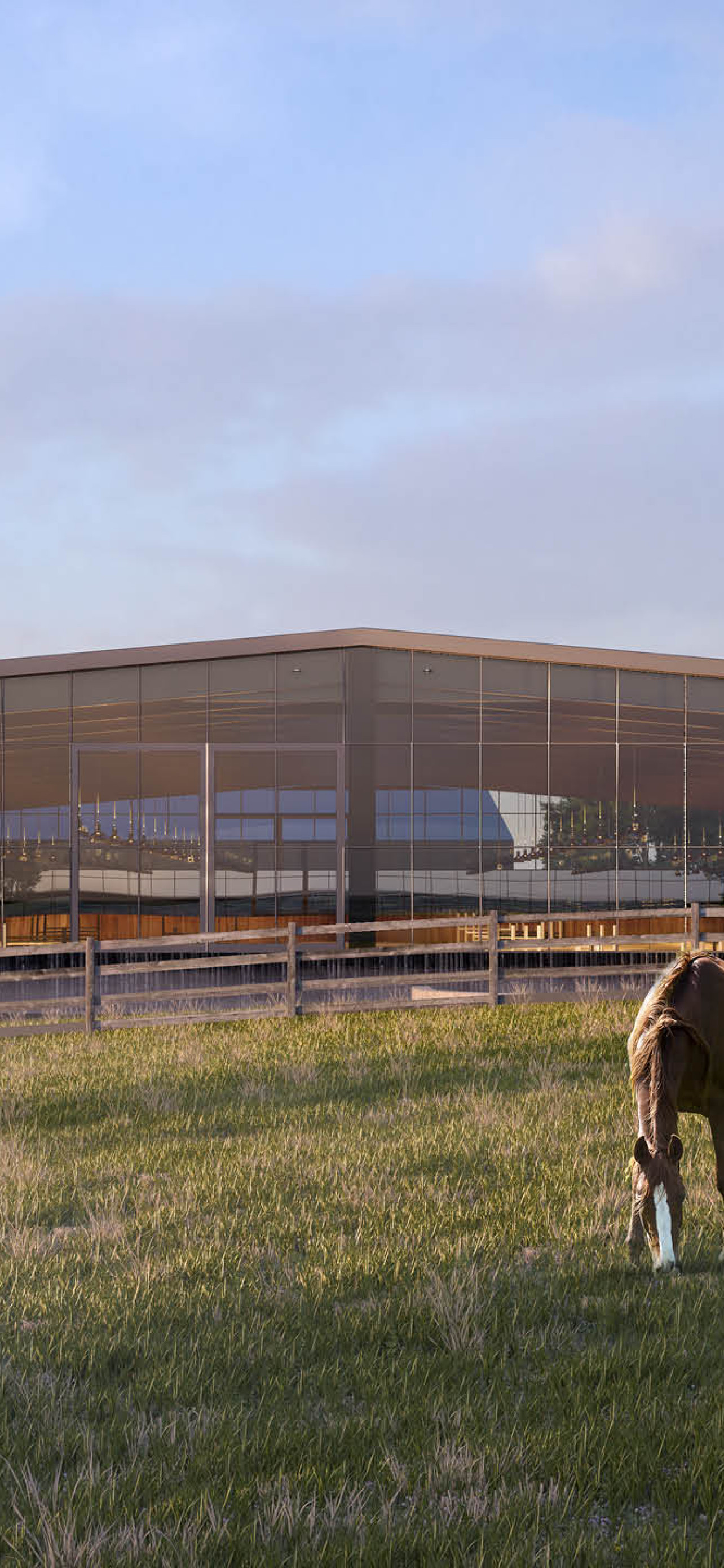 AO Website Homepage Considerations July 20255